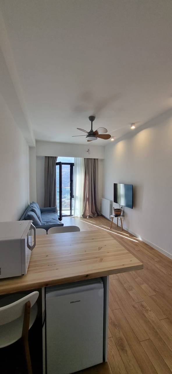 2BR Apartment for Rent in Saburtalo, Tbilisi - $650